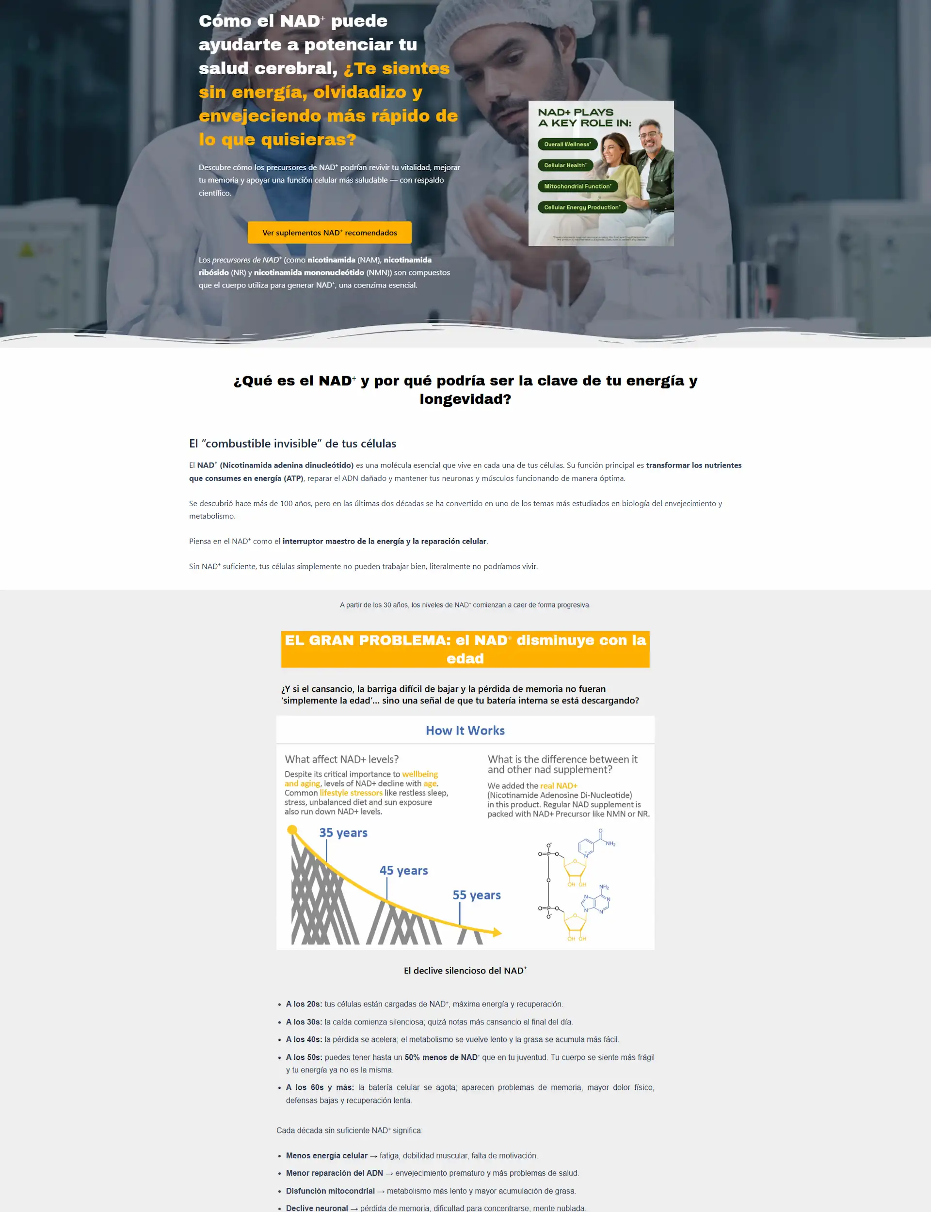 Shopys Store, online store, landing, branding, blog (nad)